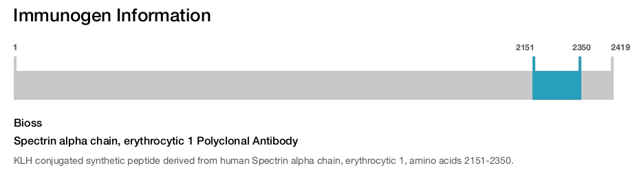Spectrin alpha chain, erythrocytic 1 Polyclonal Antibody