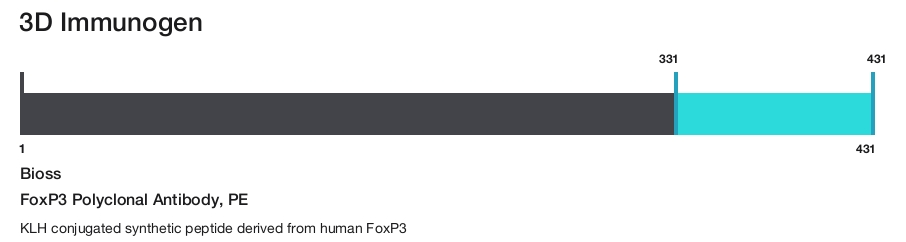 FoxP3 Polyclonal Antibody, PE