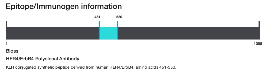 HER4/ErbB4 Polyclonal Antibody