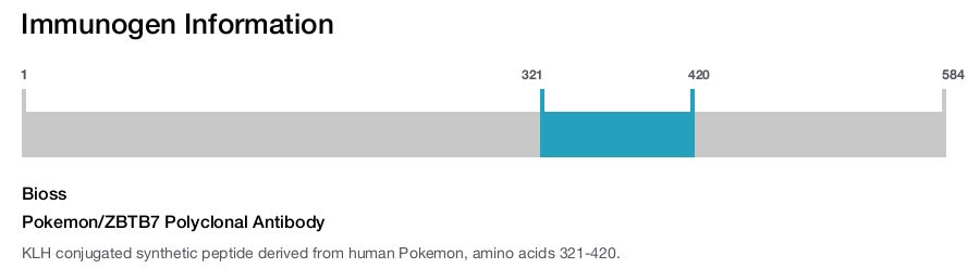 Pokemon/ZBTB7 Polyclonal Antibody