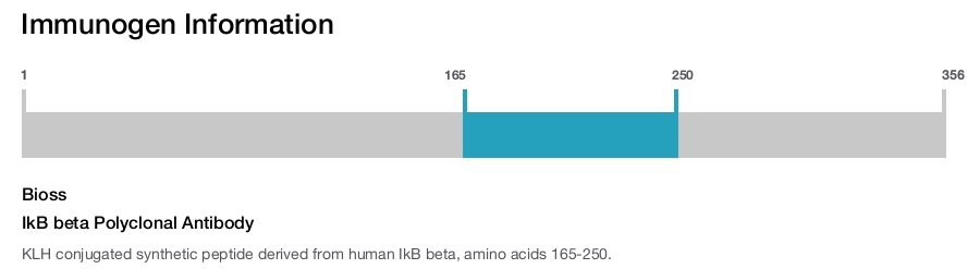 IkB beta Polyclonal Antibody