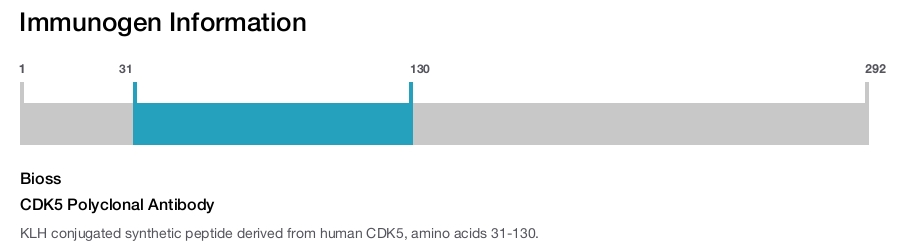 CDK5 Polyclonal Antibody