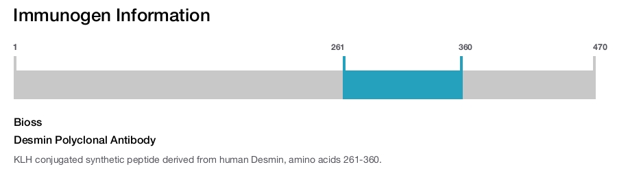 Desmin Polyclonal Antibody