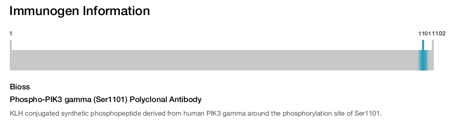 Phospho-PIK3 gamma (Ser1101) Polyclonal Antibody