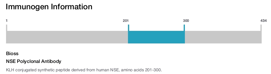NSE Polyclonal Antibody