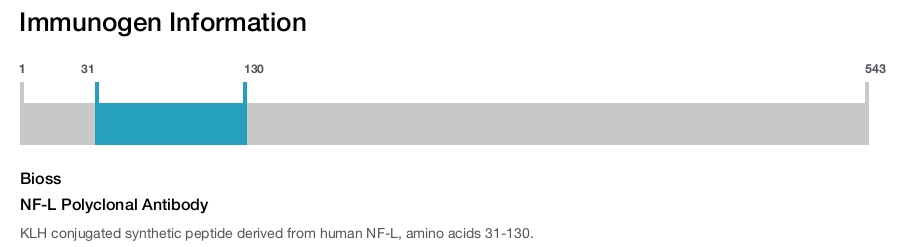 NF-L Polyclonal Antibody