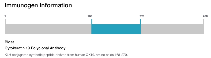 Cytokeratin 19 Polyclonal Antibody