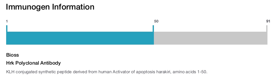 Hrk Polyclonal Antibody