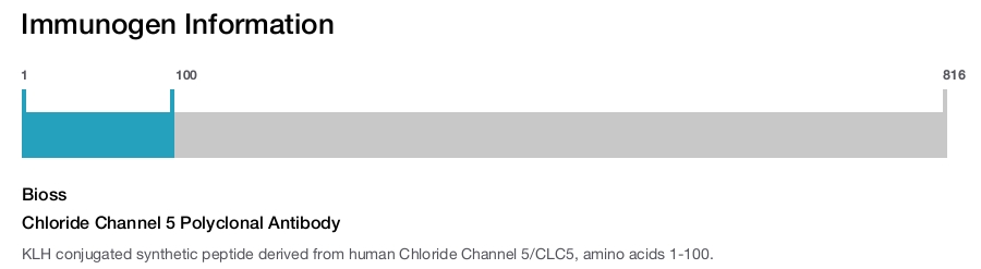 Chloride Channel 5 Polyclonal Antibody