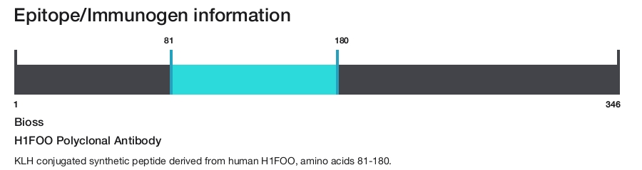 H1FOO Polyclonal Antibody