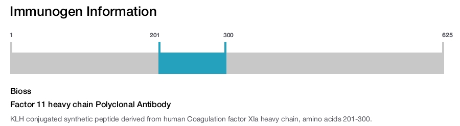 Factor 11 heavy chain Polyclonal Antibody