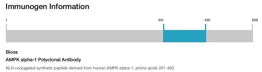 AMPK alpha-1 Polyclonal Antibody