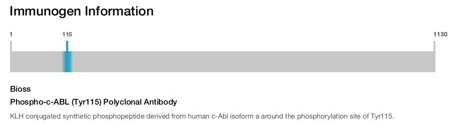 Phospho-c-ABL (Tyr115) Polyclonal Antibody