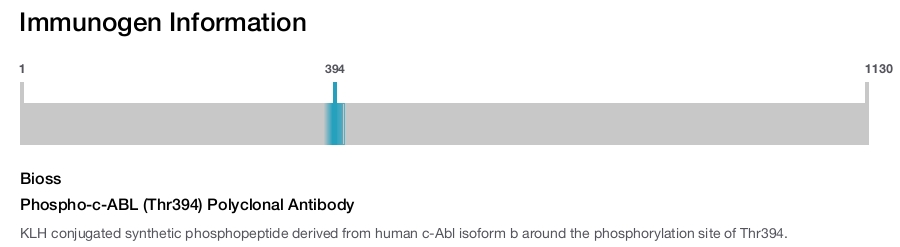 Phospho-c-ABL (Thr394) Polyclonal Antibody