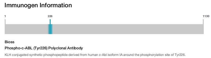 Phospho-c-ABL (Tyr226) Polyclonal Antibody