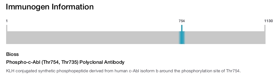 Phospho-c-Abl (Thr754, Thr735) Polyclonal Antibody