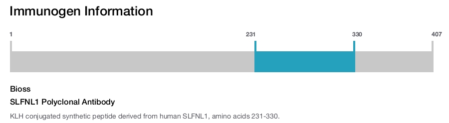 SLFNL1 Polyclonal Antibody
