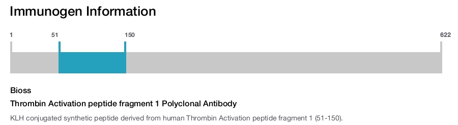 Thrombin Activation peptide fragment 1 Polyclonal Antibody