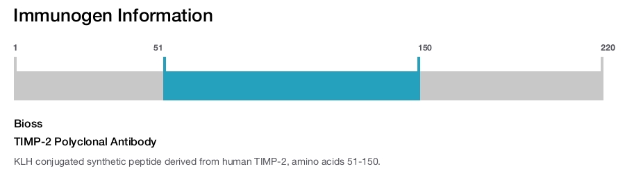 TIMP-2 Polyclonal Antibody