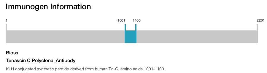 Tenascin C Polyclonal Antibody