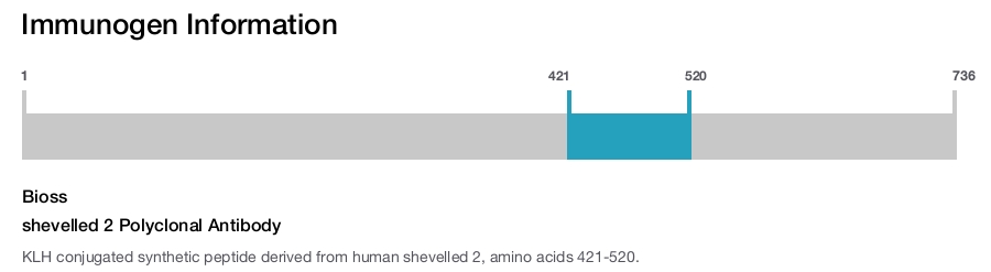 shevelled 2 Polyclonal Antibody