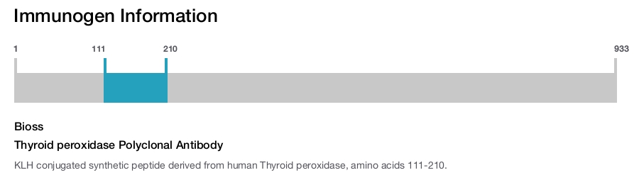 Thyroid peroxidase Polyclonal Antibody