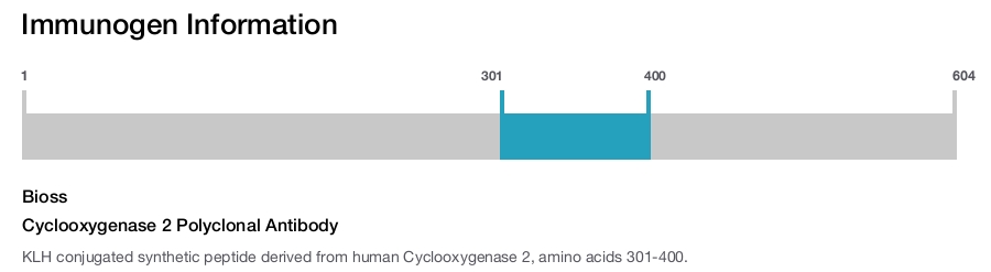 Cyclooxygenase 2 Polyclonal Antibody