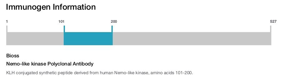 Nemo-like kinase Polyclonal Antibody