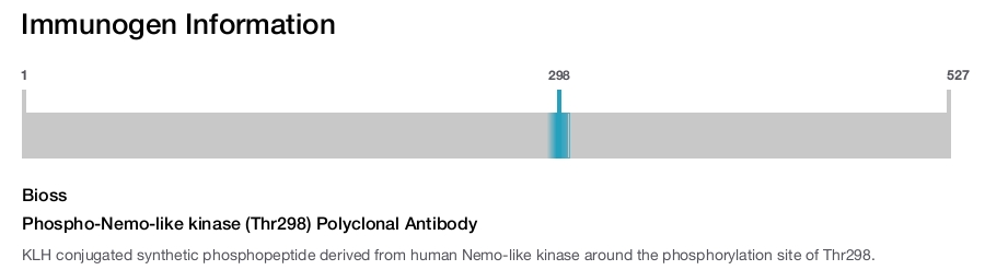 Phospho-Nemo-like kinase (Thr298) Polyclonal Antibody