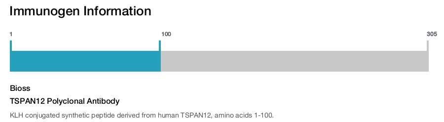 TSPAN12 Polyclonal Antibody