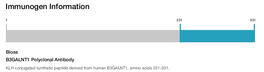 B3GALNT1 Polyclonal Antibody
