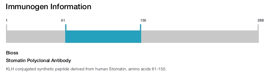 Stomatin Polyclonal Antibody