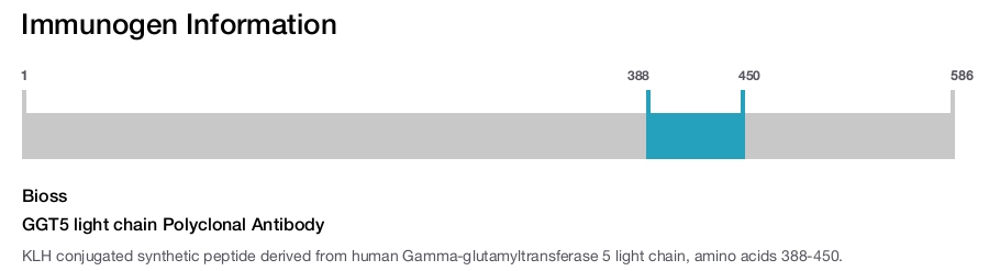 GGT5 light chain Polyclonal Antibody