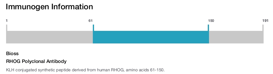 RHOG Polyclonal Antibody