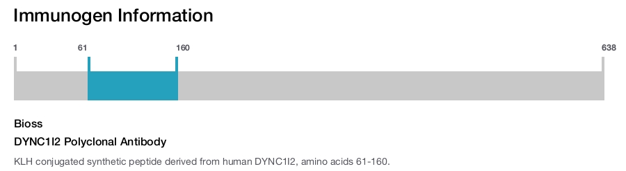 DYNC1I2 Polyclonal Antibody