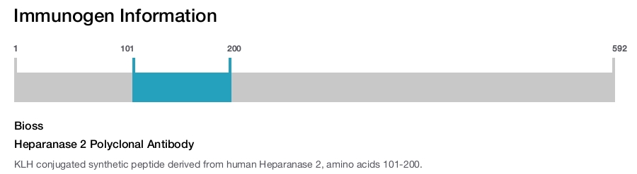 Heparanase 2 Polyclonal Antibody