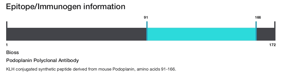 Podoplanin Polyclonal Antibody