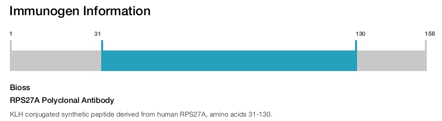 RPS27A Polyclonal Antibody