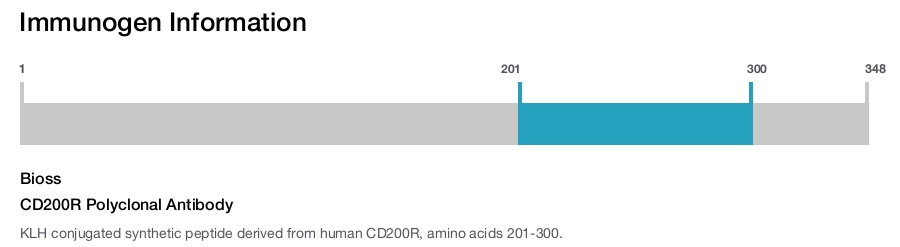 CD200R Polyclonal Antibody