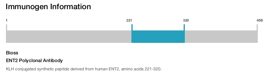ENT2 Polyclonal Antibody