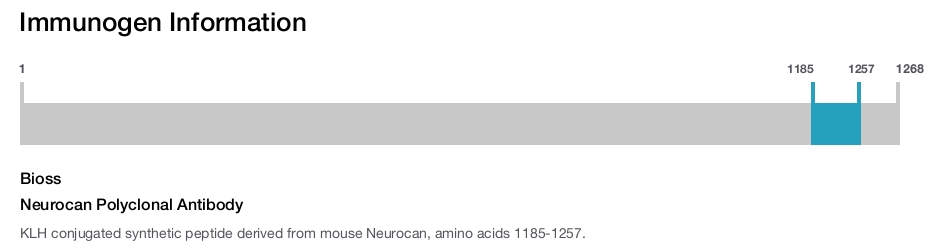 Neurocan Polyclonal Antibody