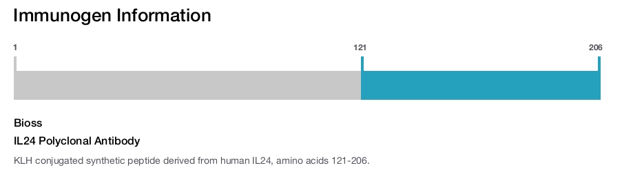 IL24 Polyclonal Antibody