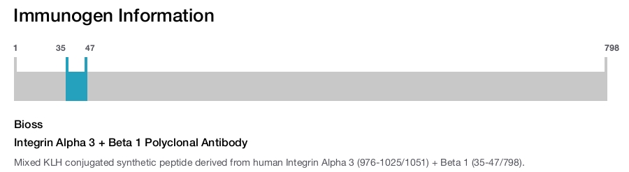 Integrin Alpha 3 + Beta 1 Polyclonal Antibody