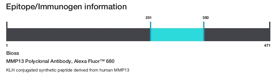 MMP13 Polyclonal Antibody, Alexa Fluor&trade; 680