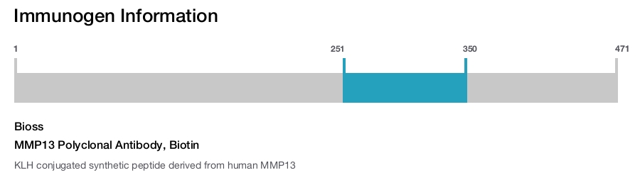 MMP13 Polyclonal Antibody, Biotin