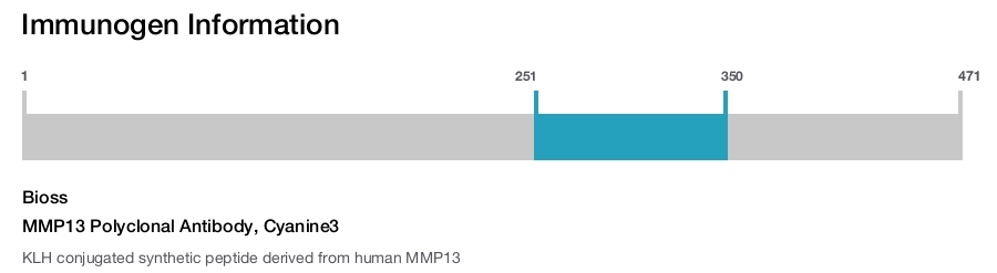 MMP13 Polyclonal Antibody, Cyanine3