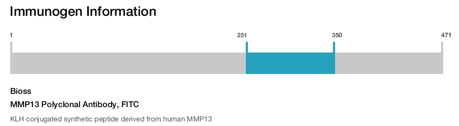 MMP13 Polyclonal Antibody, FITC