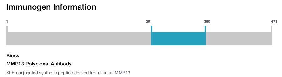 MMP13 Polyclonal Antibody