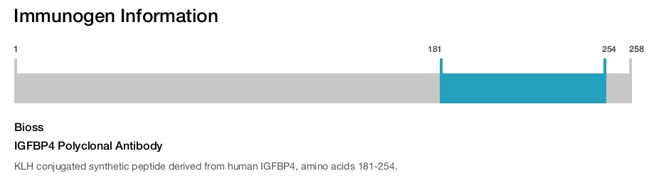 IGFBP4 Polyclonal Antibody