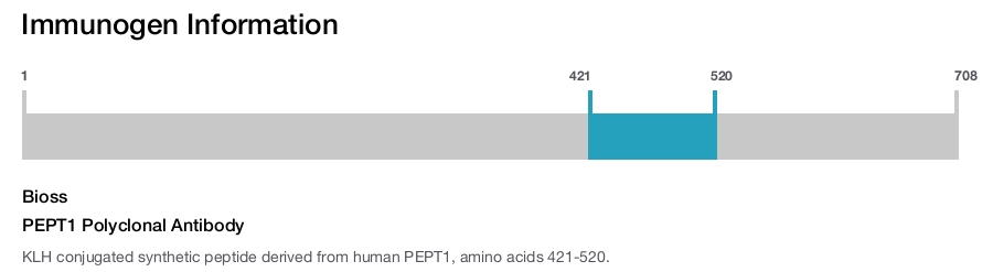 PEPT1 Polyclonal Antibody